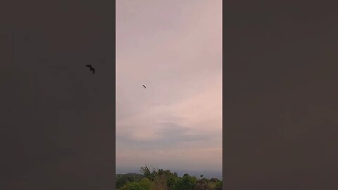 sinematik pemandangan alam pegunungan #shorts