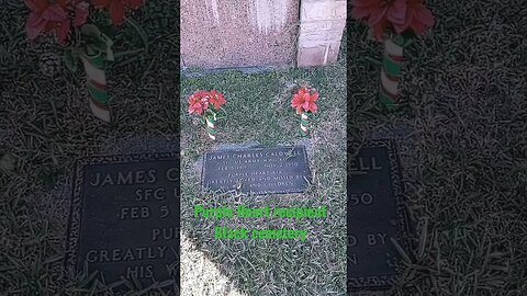 #taphophile #veteranburial #cemetery #purpleheartrecipient