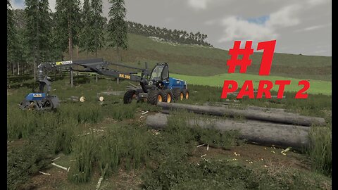 Rottne H21 Cutting spruce trees Holmåkra Sweden Fs 22 #1 Part 2