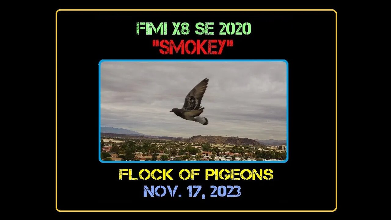 Fimi X8 SE 2020 Drone "Smokey" - PIGEONS - 11/17/23