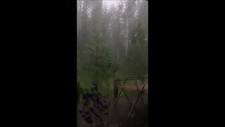 2 hours of rain fall