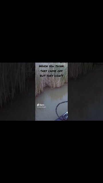 Never Give Up On Hungry Bass #bassfishing #bass #fishing #gotem