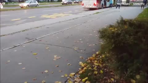 Cão se emociona ao receber sua dona na parada de ônibus