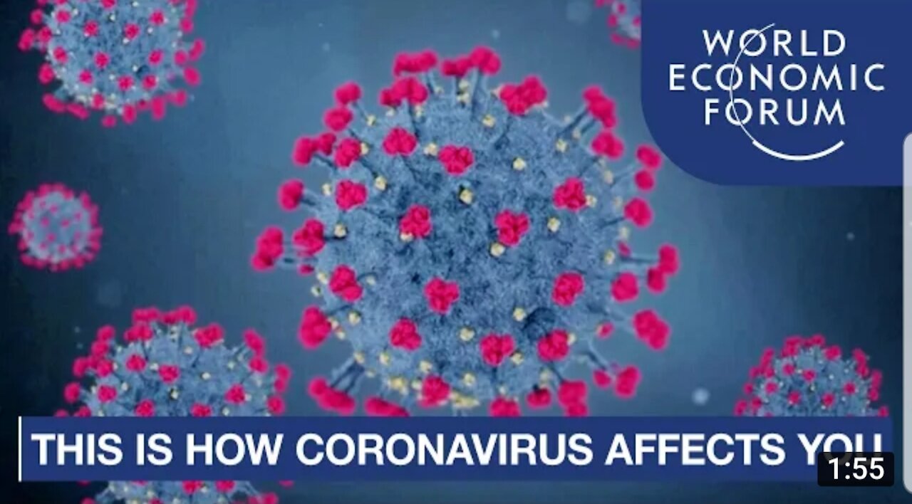 This ia what coronavirus to the Humans Body : Covid 19