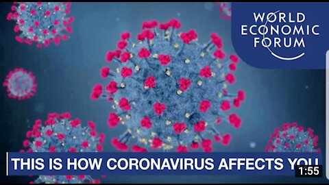 This ia what coronavirus to the Humans Body : Covid 19