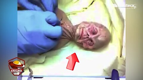 This is not a human, is it an alien? [Space]