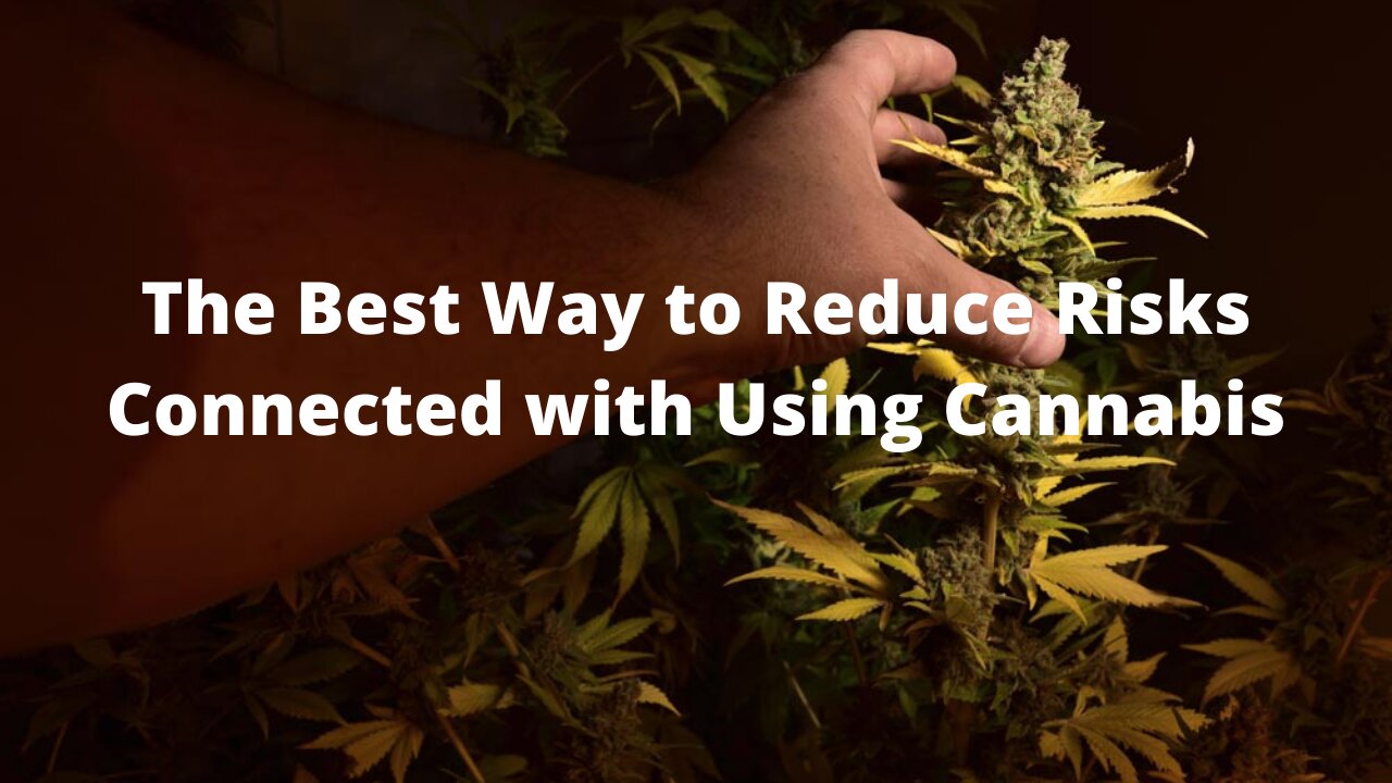 The Best Way to Reduce Risks Connected with Using Cannabis