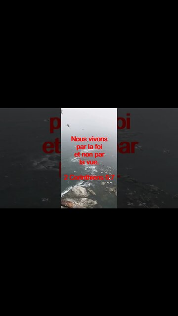 Verset Du Jour | Lecture Inspirante Pour Commencer La Journée. | 50