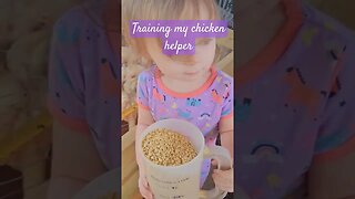 learning to keep chickens #farm #homestead #video #shorts #short