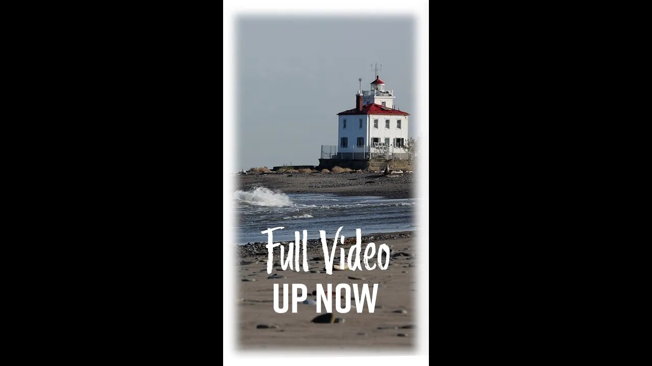 Link to Video in Description #shorts #beachsounds #waves