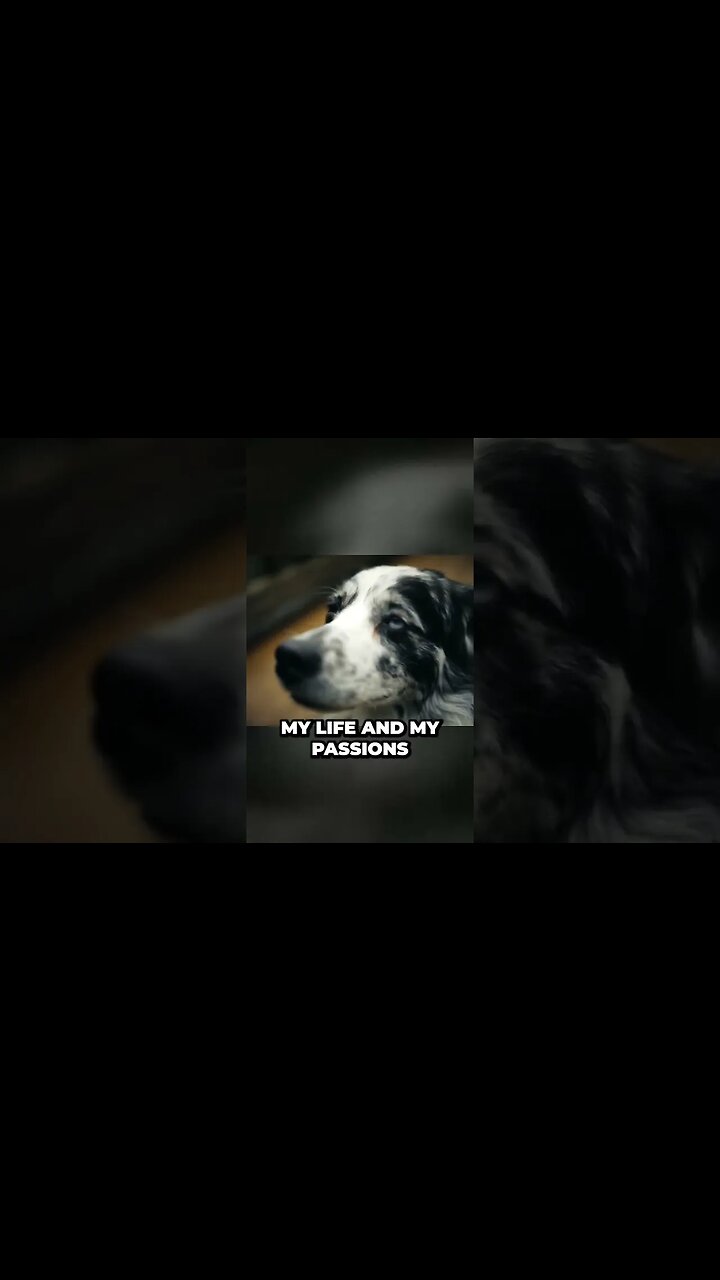 Tiny House Unveils Surprising Perks for Travel Lovers