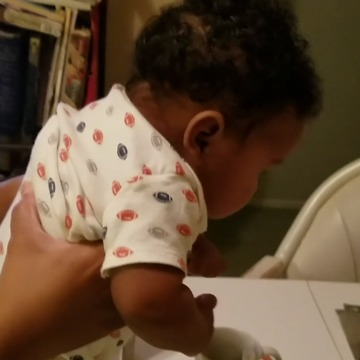 Everyone Look Out For Baby Godzilla