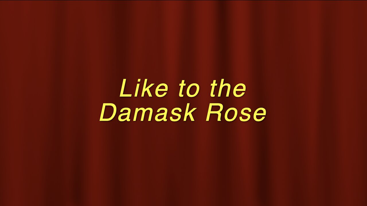 Elgar's Enigma Theme with “Like to the Damask Rose”