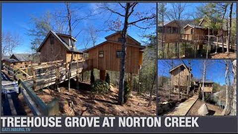 Treehouse Grove at Norton Creek