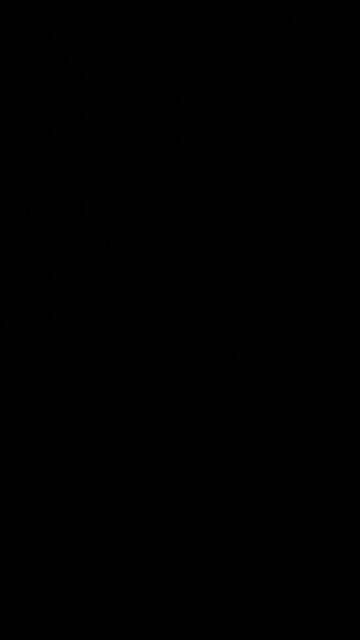 Chronic fatigue syndrome