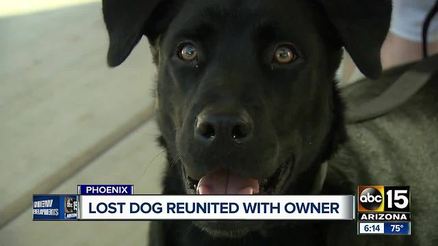 Valley woman reunited dog who went missing for more than a month