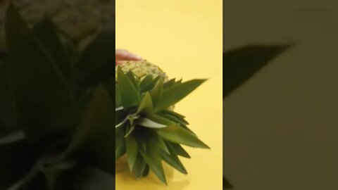 ANANAS LOT 300 - CIDRE LACROIX #shorts #youtubeshorts #viral #foryou #productsads