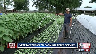 Veteran turns to farming after service