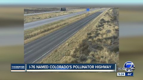 I-76 named Colorado's Pollinator Highway