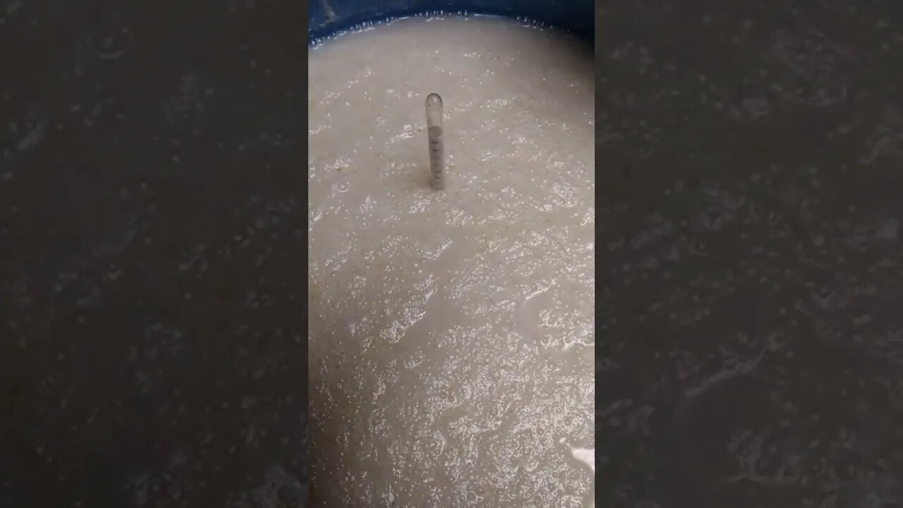 Checking on the fancy ass rice, day 4. Thanks for watching.