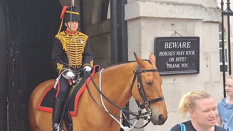 Tourist drives past on a bike shouts word abuse at the Kings troop #horseguardsparade