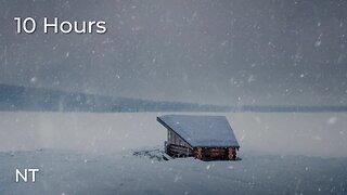 Blizzard Snow Storm & Cold Strong Wind Sounds for Relaxing, Deep Sleep, Insomnia
