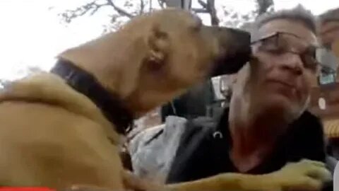 Tony Pizza Back Live