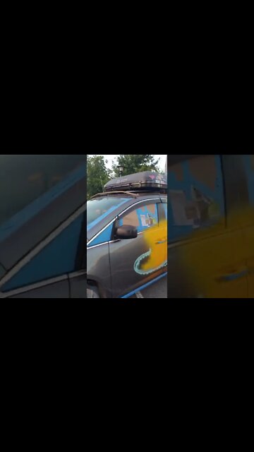 Caught them #tagging my #minivancamper