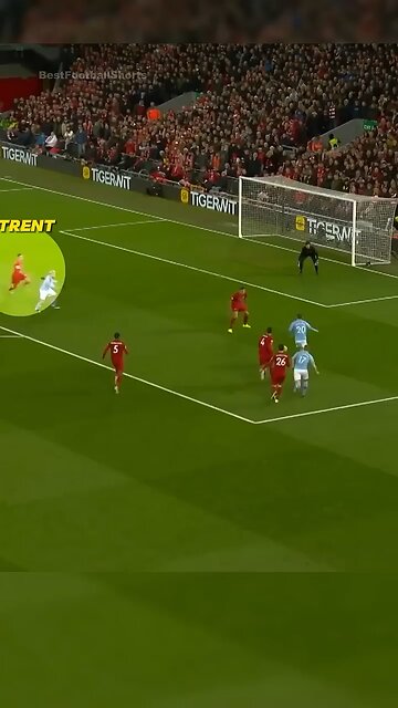 Referee Mistakes moments (short video)