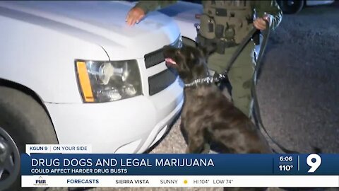 Legal Marijuana changes drug dog duties