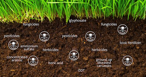 Cardinal Cavin - Why our Soil Will Be Dead By 2030