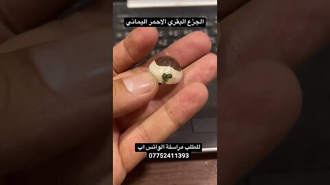 جزع بقري احمر