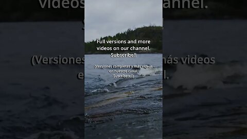 🏃‍♀️ Follow the winding 🏞️ river | Music |Meditation Music | Sleep Music #shorts