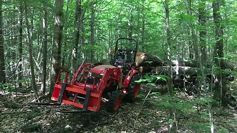 Kioti CK3510 hauling logs