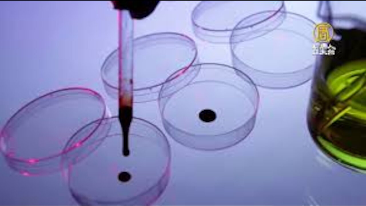 报告: 中共军医承认活摘法轮功学员器官