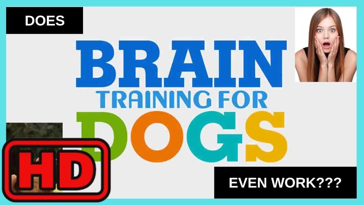 Brain Training For Dogs Review: Dont Buy Before Watching This