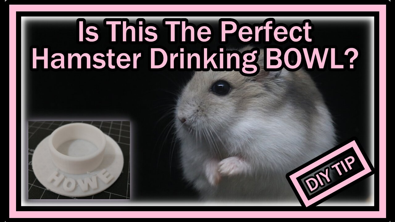 Is This The Perfect Hamster Drinking BOWL? (DIY Self Made With 3D Printer)