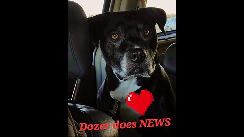 Dozer does news..