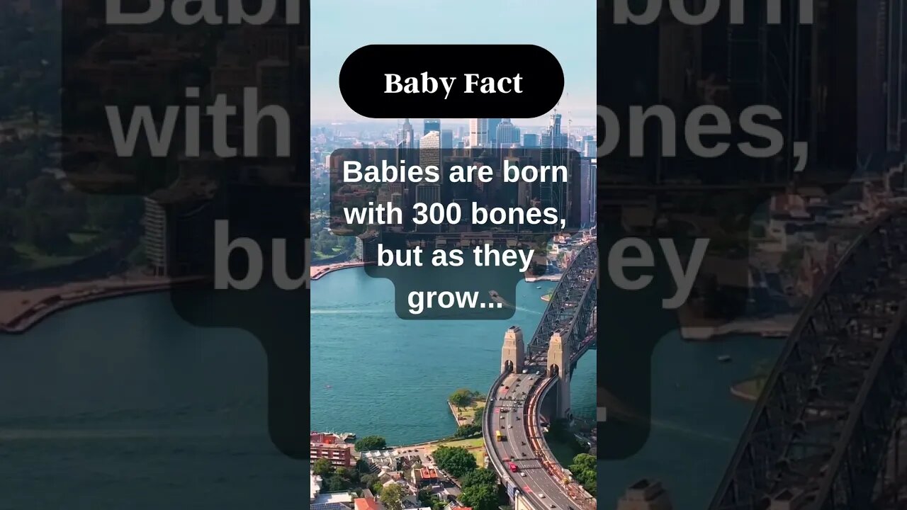 How do you feel about what was said? In the comments, please tell us what you think.👉 #shorts