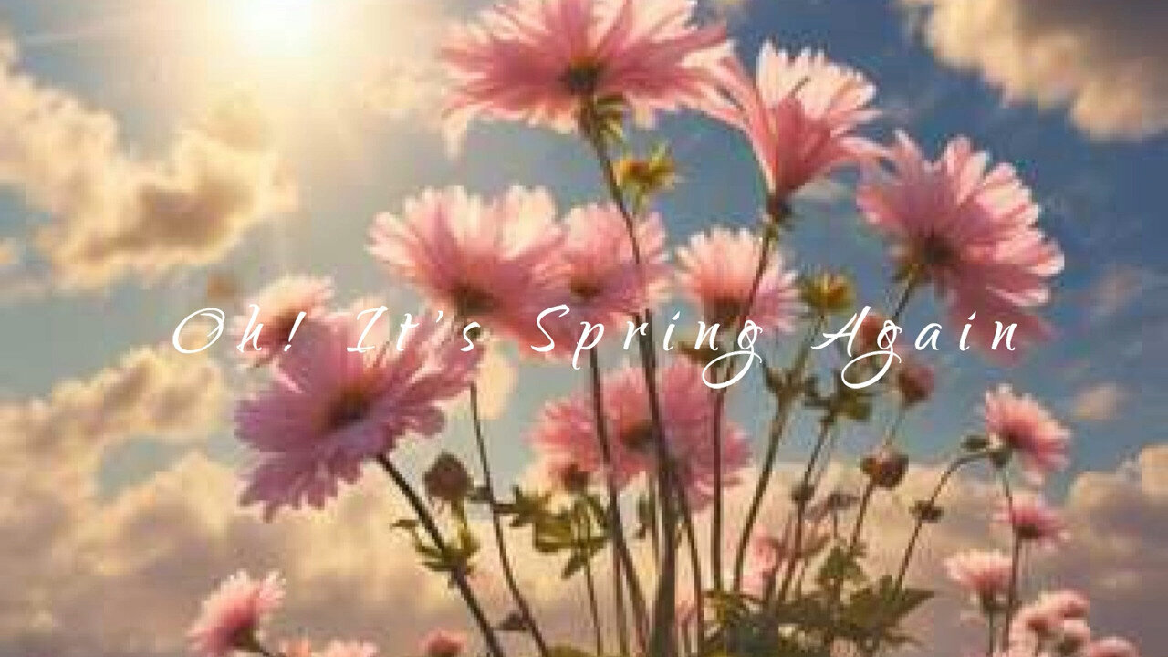 Oh! It's Spring Again" - Piano Folk Ballad | Original Music| Peaceful Piano Music