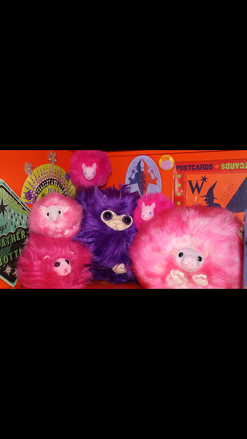 My Weasley Shelf Is Coming Along! #harrypottercollection #harrypotter #wizardingworld #weasleytwins