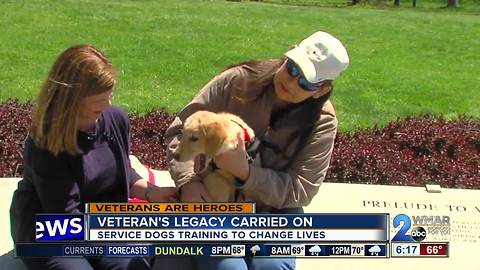 Stanley the dog carrying big legacy of local veteran