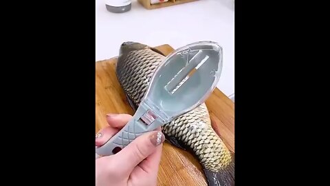 New Designs Cleaning Fish Skin Scraping Scales | Planing Fish