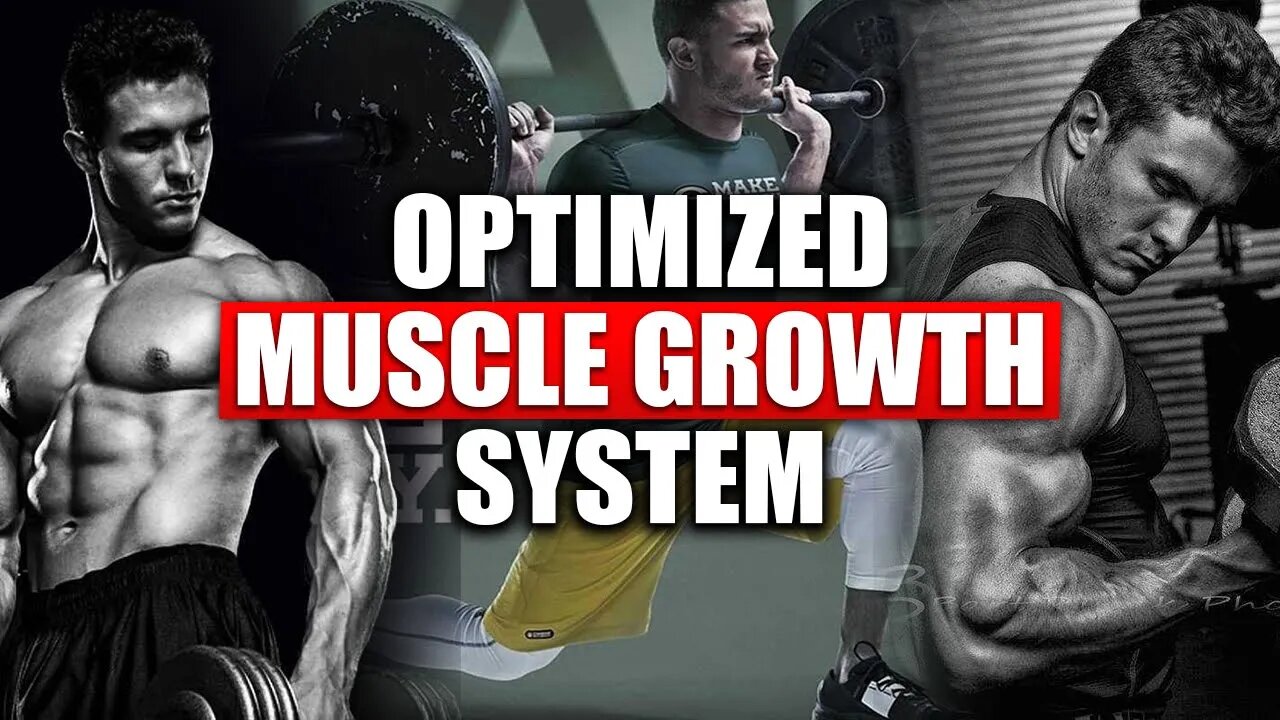 @Jay Vincent's SCIENTIFIC SYSTEM For Optimum Muscle & Fat Loss in Record Time