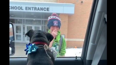 Boy reunited with the lost dog