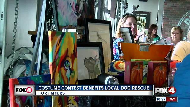 Spooktacular contest raises money for dog rescue