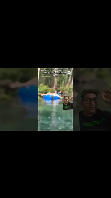 Every body of water has an Alligator