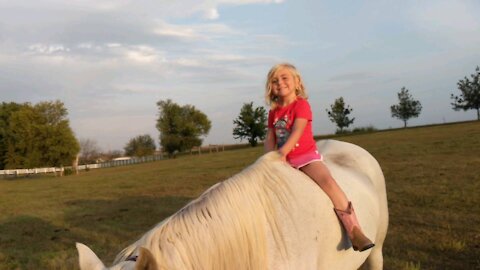 Bringing the horses to a new pasture