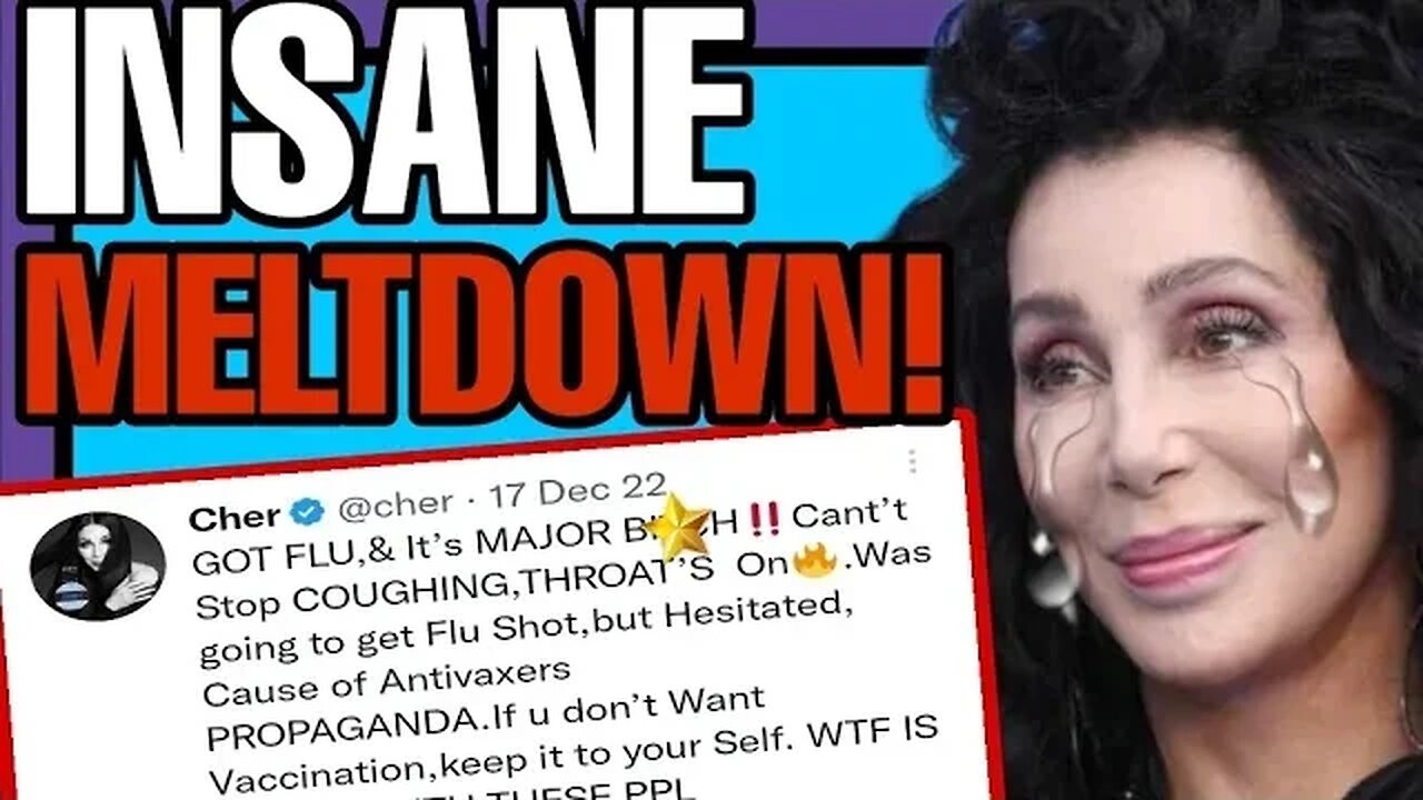 MEGA LIBERAL CHER HAS AN EPIC MELTDOWN ON TWITTER AFTER CATCHING THE FLU