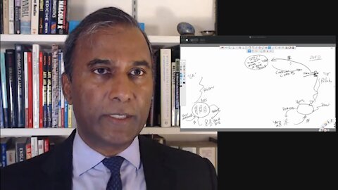 Dr.SHIVA LIVE: Why Joe Biden Is Wrong to Re-Join the Paris Accords. An MIT PhD Explains.